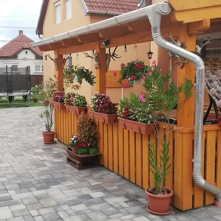 Agica Vendeghaz Andornaktálya